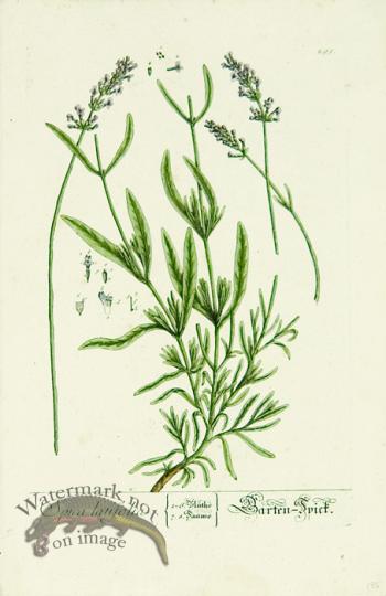 Blackwell German 237